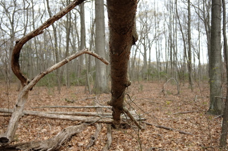 Enlarge photo 27