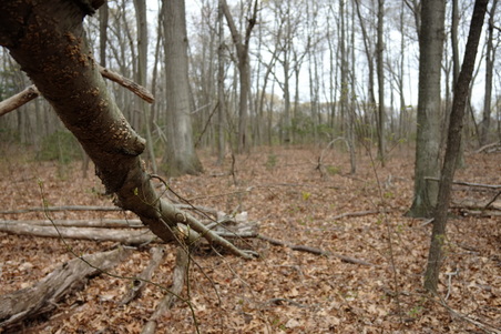 Enlarge photo 29