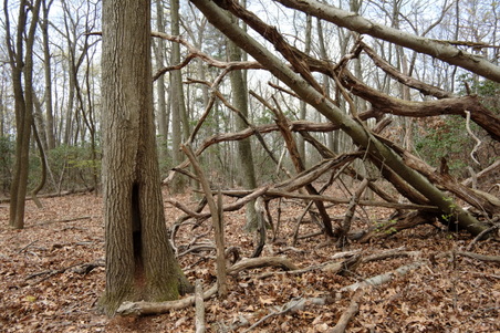 Enlarge photo 25
