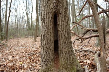 Enlarge photo 26