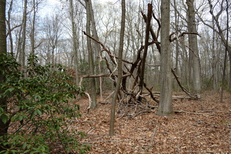 Enlarge photo 24