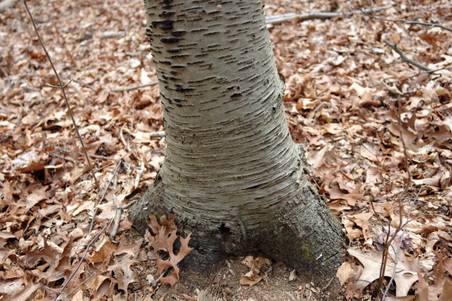 Enlarge photo 21