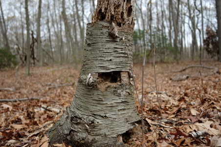 Enlarge photo 19