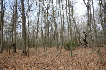 Enlarge photo 18