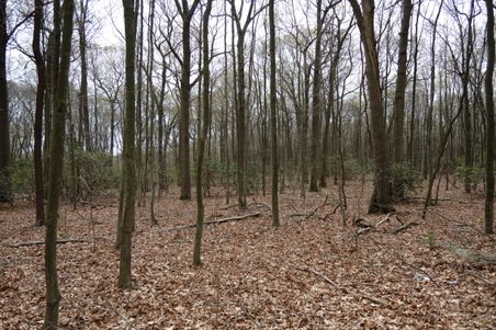 Enlarge photo 17