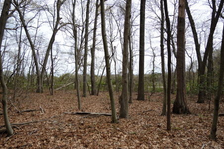 Enlarge photo 16