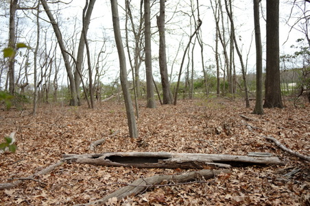Enlarge photo 15