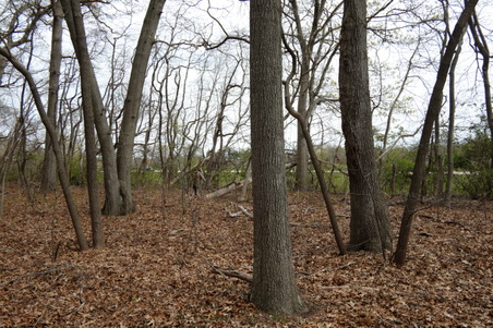 Enlarge photo 13