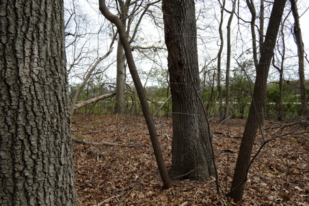Enlarge photo 14