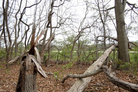 Enlarge photo 10