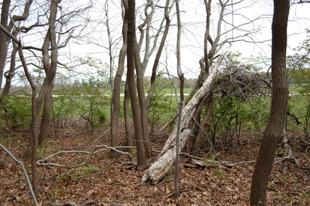 Enlarge photo 9
