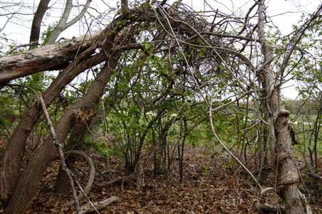 Enlarge photo 6