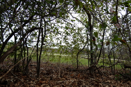 Enlarge photo 7