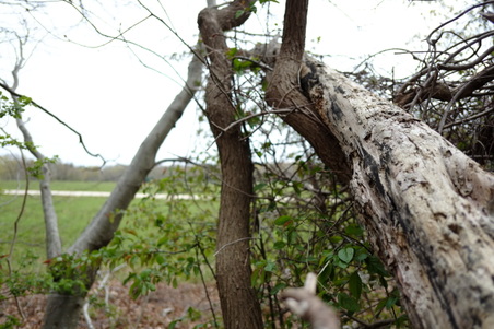 Enlarge photo 8