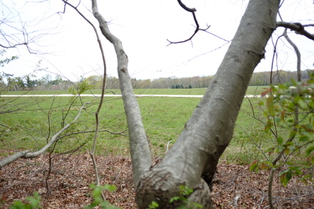 Enlarge photo 5