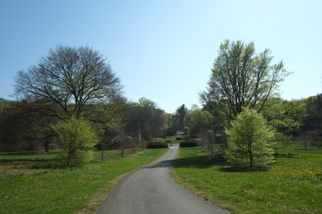 Planting Fields- Zig Zag Trail