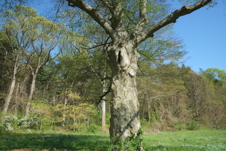 Enlarge photo 2