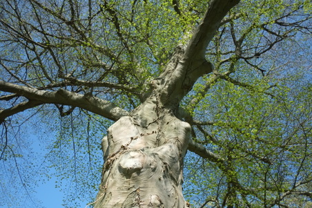 Enlarge photo 3