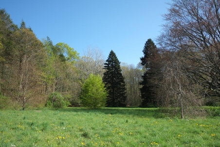 Enlarge photo 4