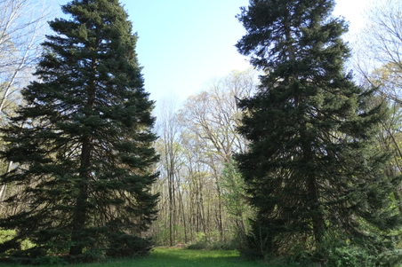 Enlarge photo 5