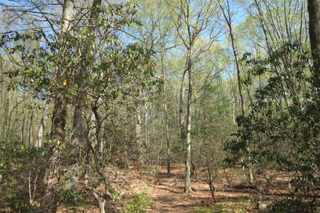 Enlarge photo 8