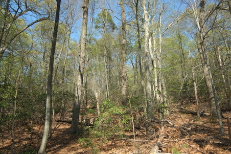 Enlarge photo 9