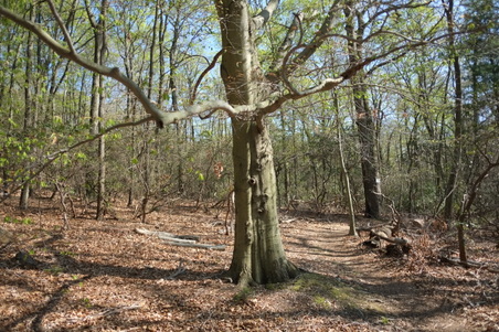 Enlarge photo 10