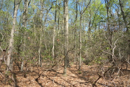 Enlarge photo 12
