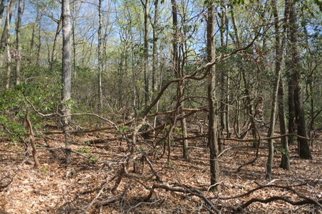 Enlarge photo 13