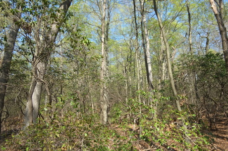 Enlarge photo 14