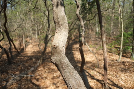 Enlarge photo 15