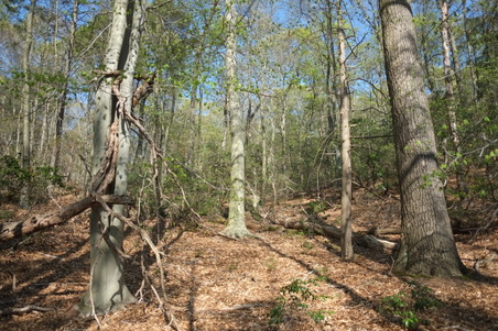 Enlarge photo 16