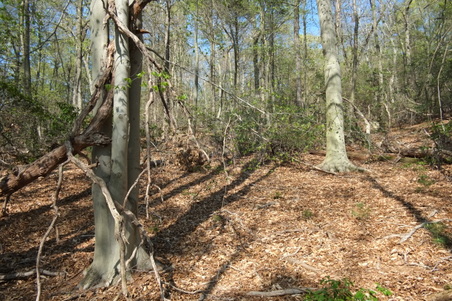 Enlarge photo 17
