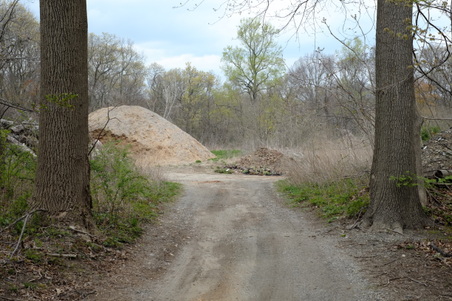 Planting Field- "THE DUMP"