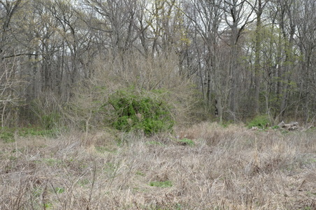 Enlarge photo 7