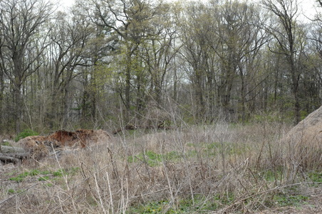 Enlarge photo 9