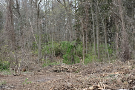 Enlarge photo 11