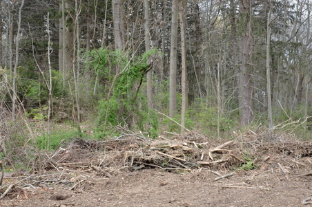 Enlarge photo 12