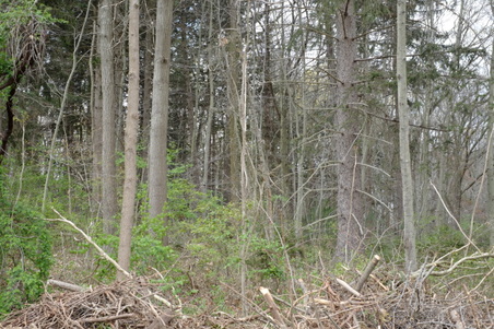 Enlarge photo 13