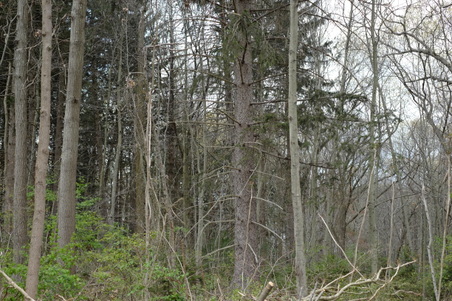Enlarge photo 14