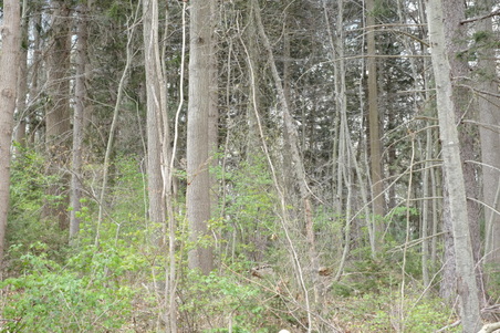 Enlarge photo 15