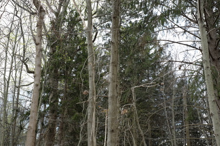 Enlarge photo 16