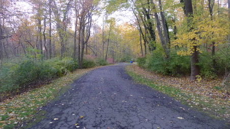 Enlarge photo 6