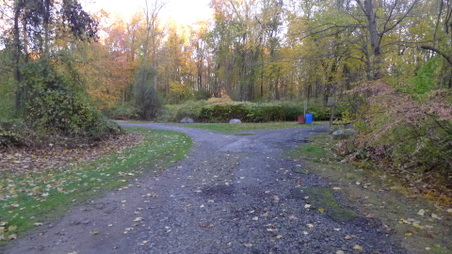 Enlarge photo 9