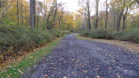 Enlarge photo 11