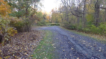 Enlarge photo 13