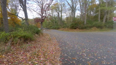 Enlarge photo 9