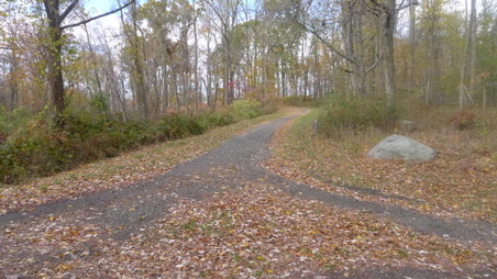 Enlarge photo 13