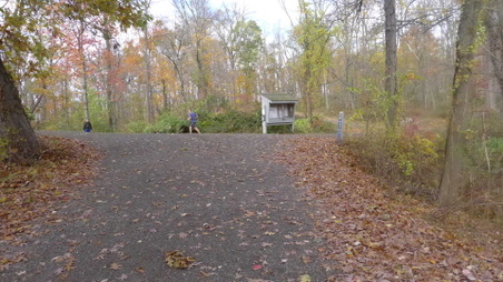 Enlarge photo 15