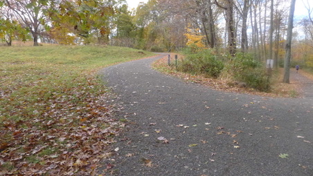 Enlarge photo 17